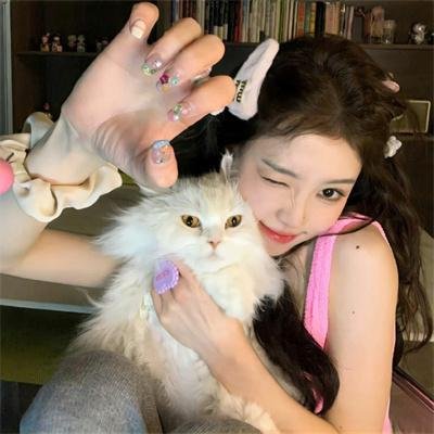 京都科迈罗侦探